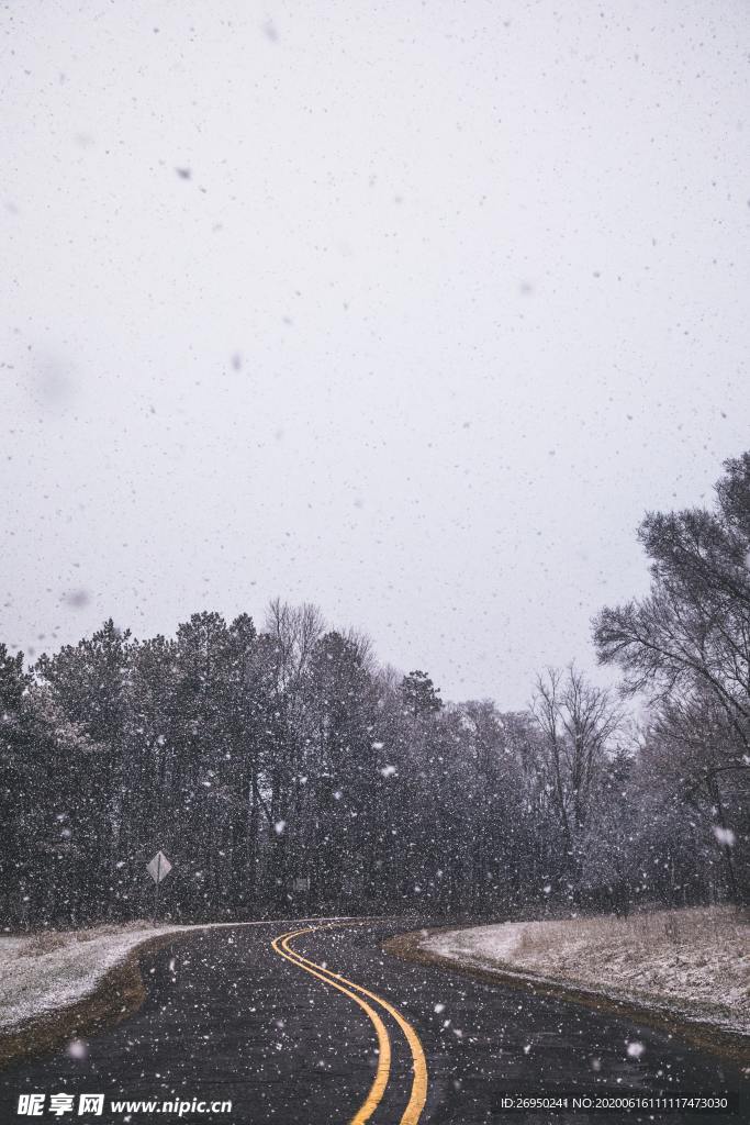 下雪的公路