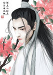 古风美男