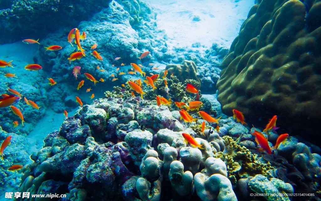 海底风光