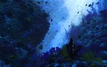 海底风光