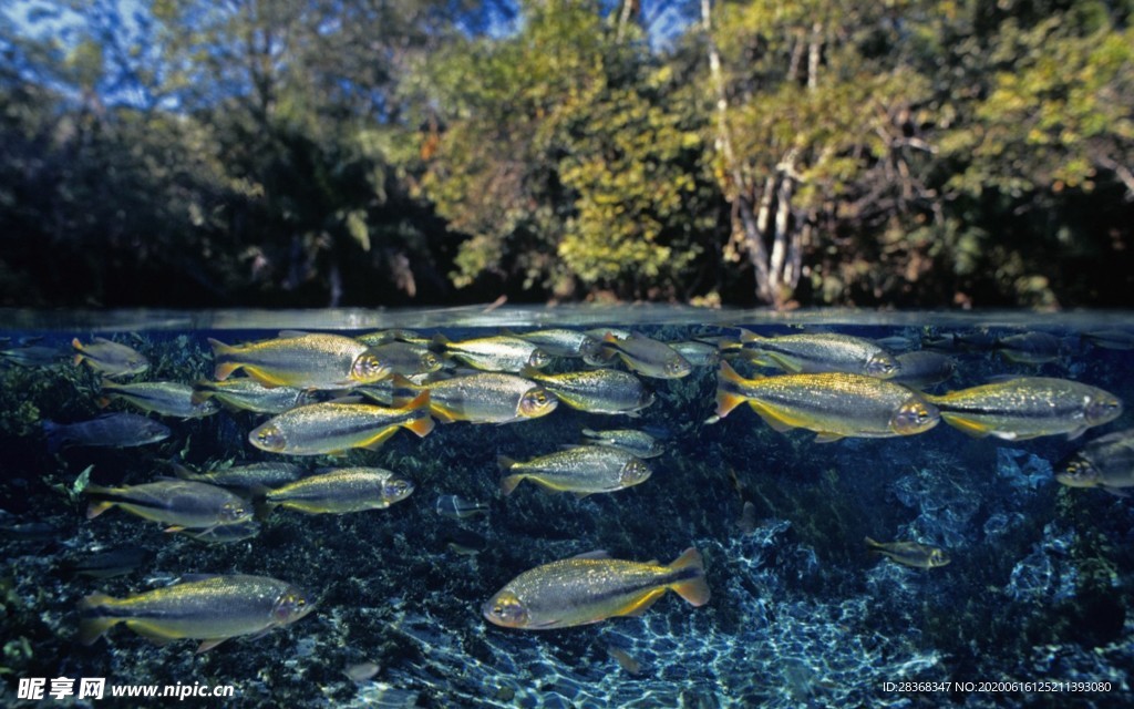 海底风光