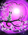 猫咪