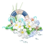 花朵 救生圈 海草