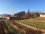 田园风光