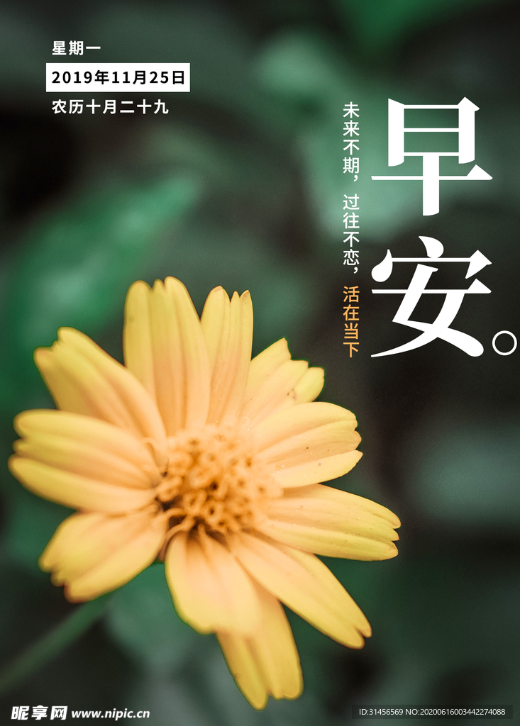 早安