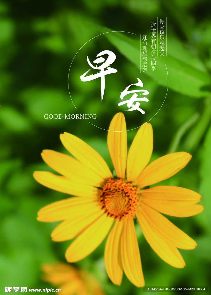 早安