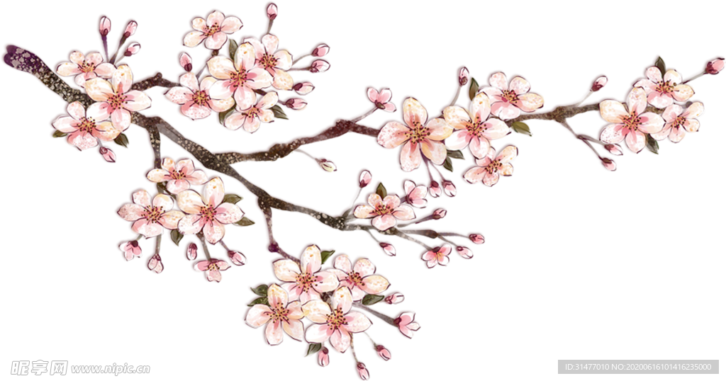 PNG桃花