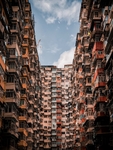 城市