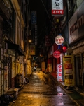 城市