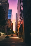城市