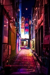 城市