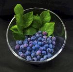 绿宝石 蓝莓