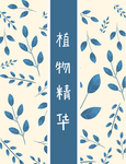 面膜