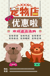 宠物店  猫狗