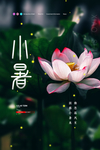 小暑