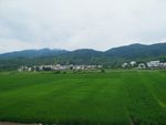 田园风光