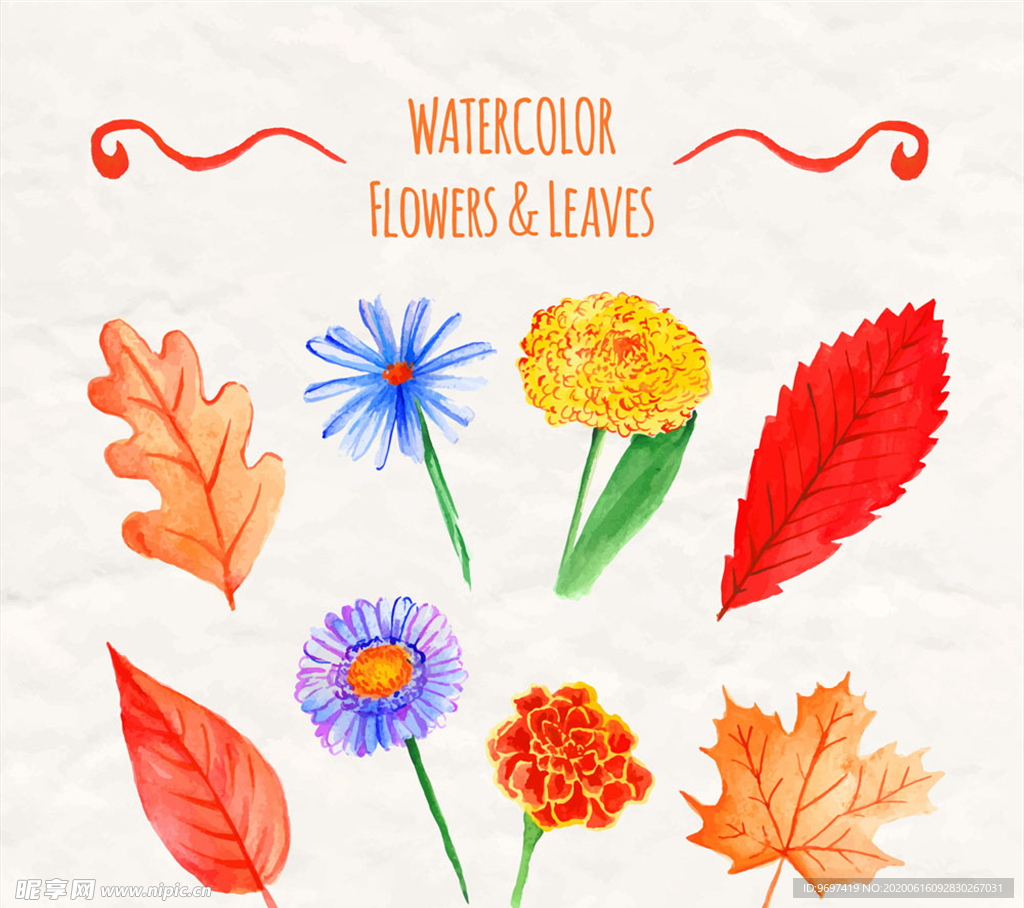 水彩绘鲜艳花卉和叶子矢量图