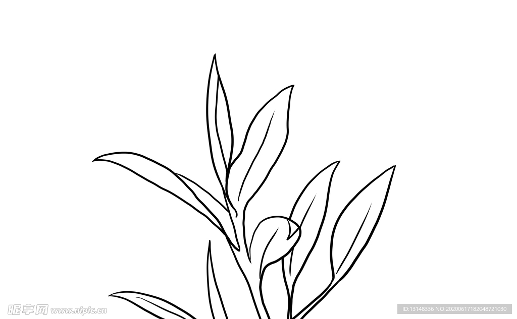 茶叶