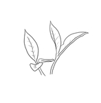 茶叶