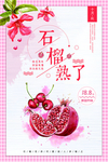 石榴海报
