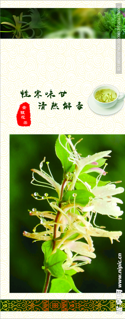 金银花茶