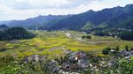 务川县金色黄都