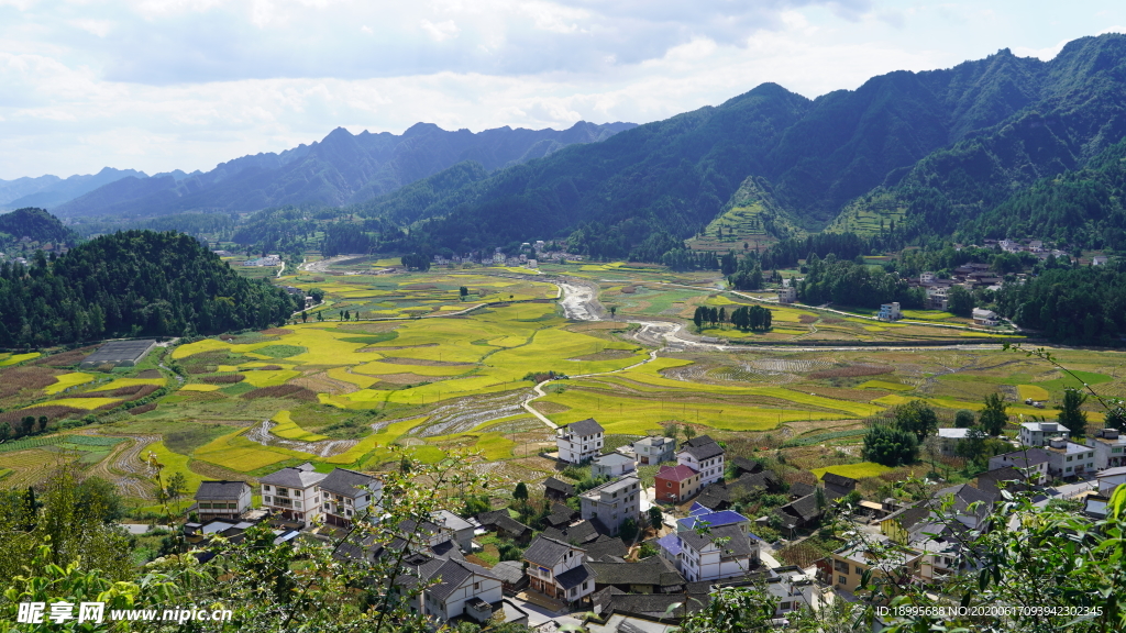 务川县金色黄都