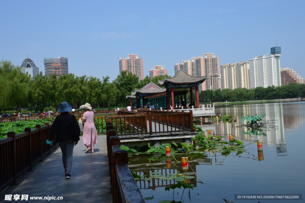 园林风景