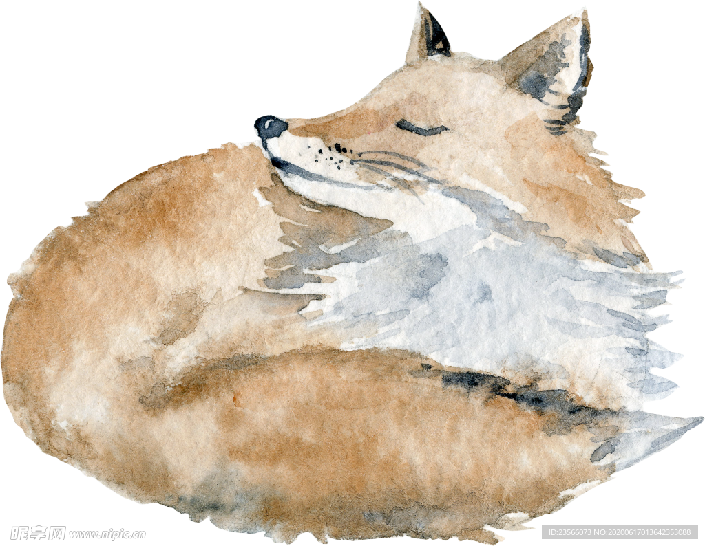 水彩小狐狸绘画