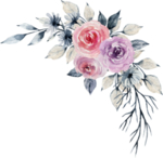 水彩绘画花朵树枝装饰