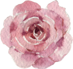 水彩绘画花朵树枝装饰