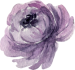 水彩绘画花朵树枝装饰