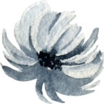 水彩绘画花朵树枝装饰