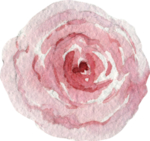 水彩绘画花朵树枝装饰