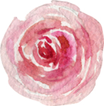 水彩绘画花朵树枝装饰