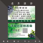 蓝莓名片