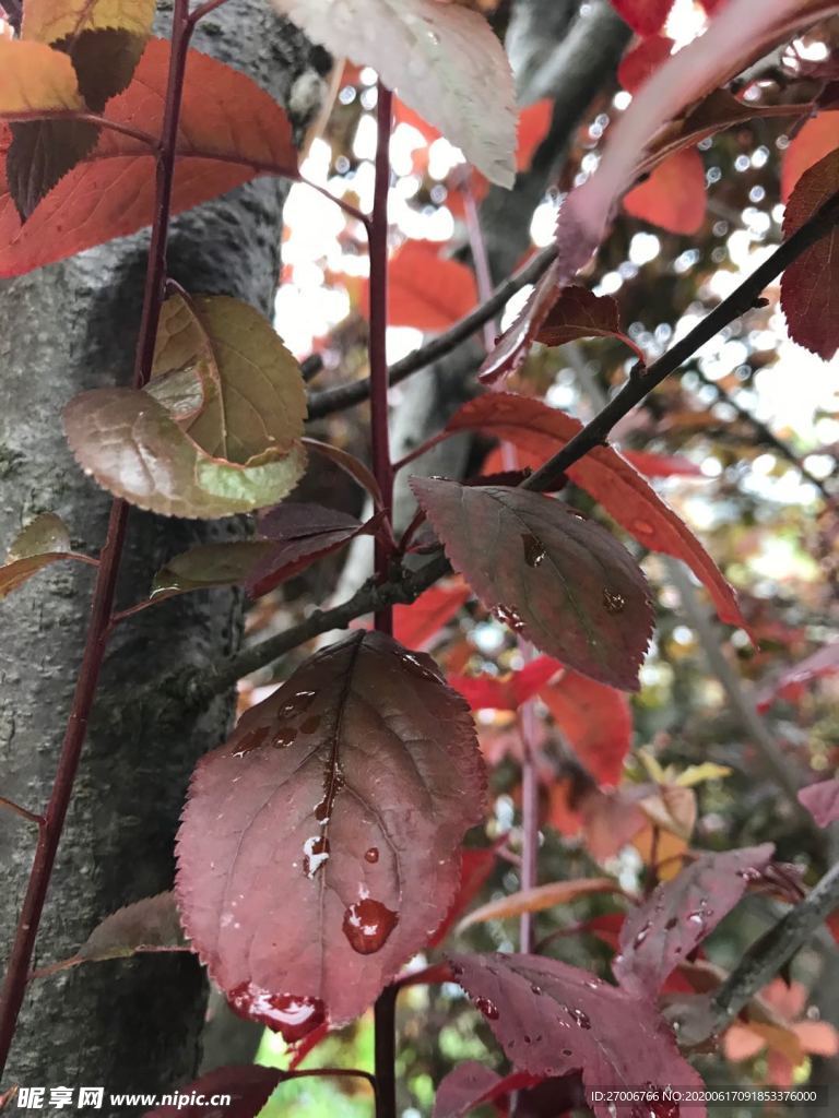 公园拍摄