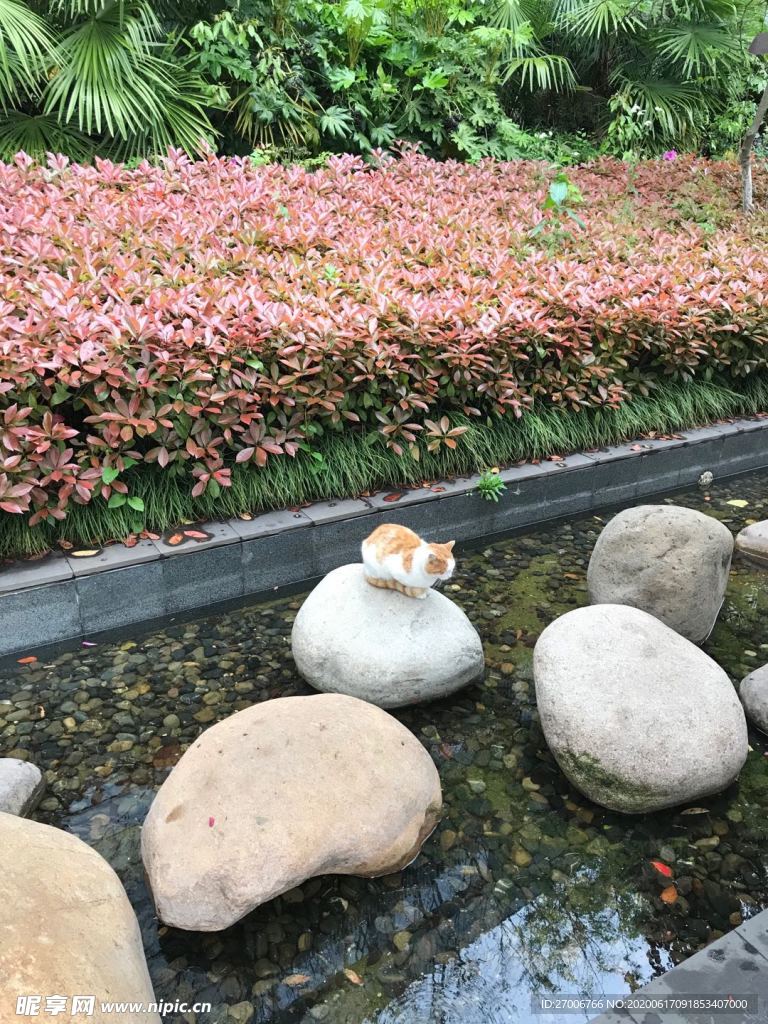 公园拍摄