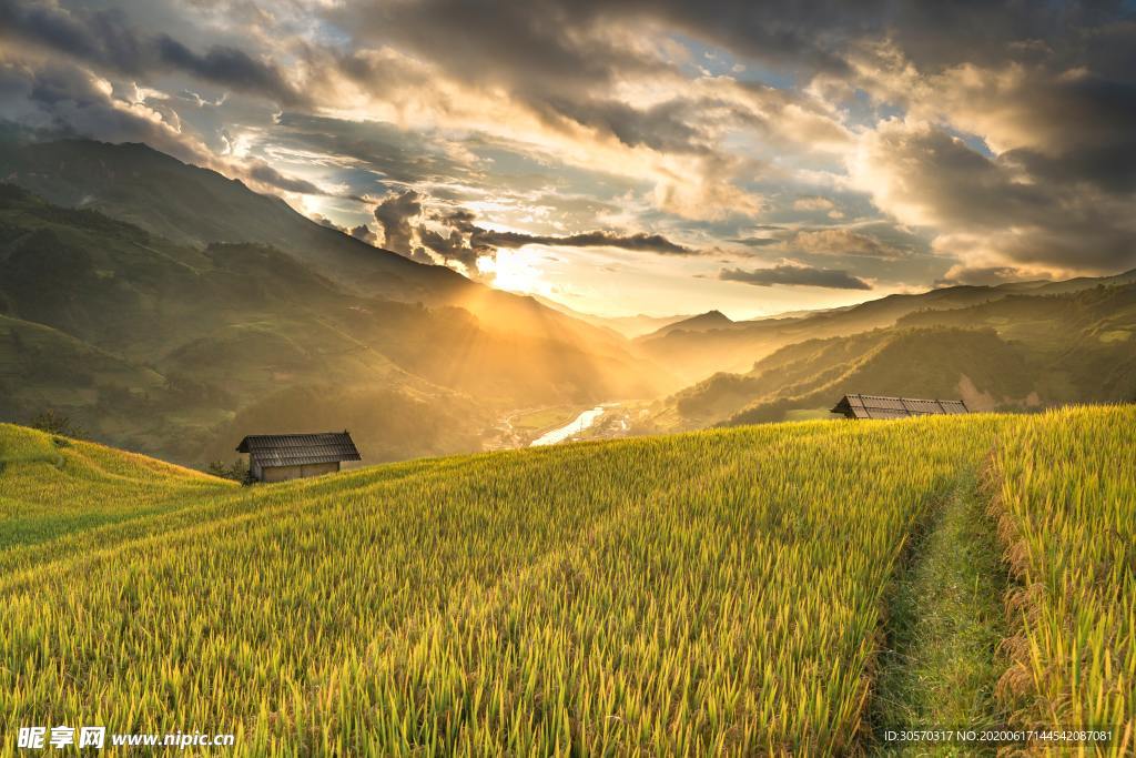 风景