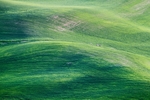 风景