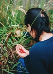植物