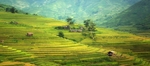 风景