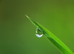 水珠