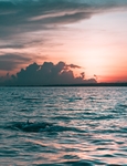 海