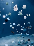海洋生物