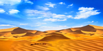 沙漠 骆驼 黄沙 蓝天白云