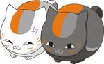 猫咪老师