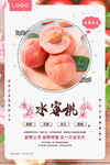 水蜜桃