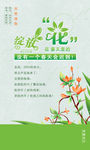 春季绽放