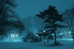 雪